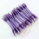 24 Pack of 15cm (6-inch) in Purple - Cat6 High Grade 250MHz 24AWG LSZH Patch Cables for 1U Patching