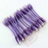 24 Pack of 15cm (6-inch) in Purple - Cat6 High Grade 250MHz 24AWG LSZH Patch Cables for 1U Patching