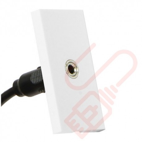 3.5mm Stereo Module With Pigtail