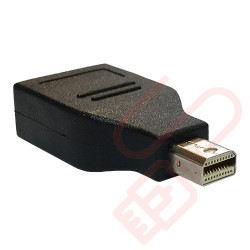 Mini Display Port to Display Port Adapter