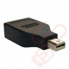 Mini Display Port to Display Port Adapter